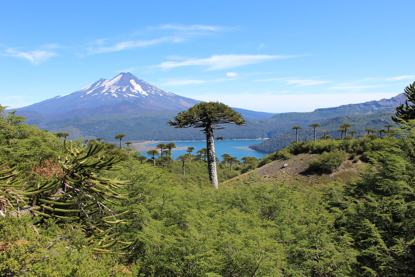 Trekking Sierra Nevada