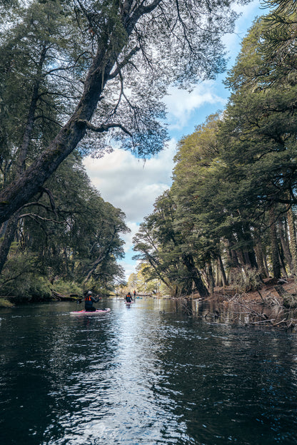 Travesía SUP Lago Icalma