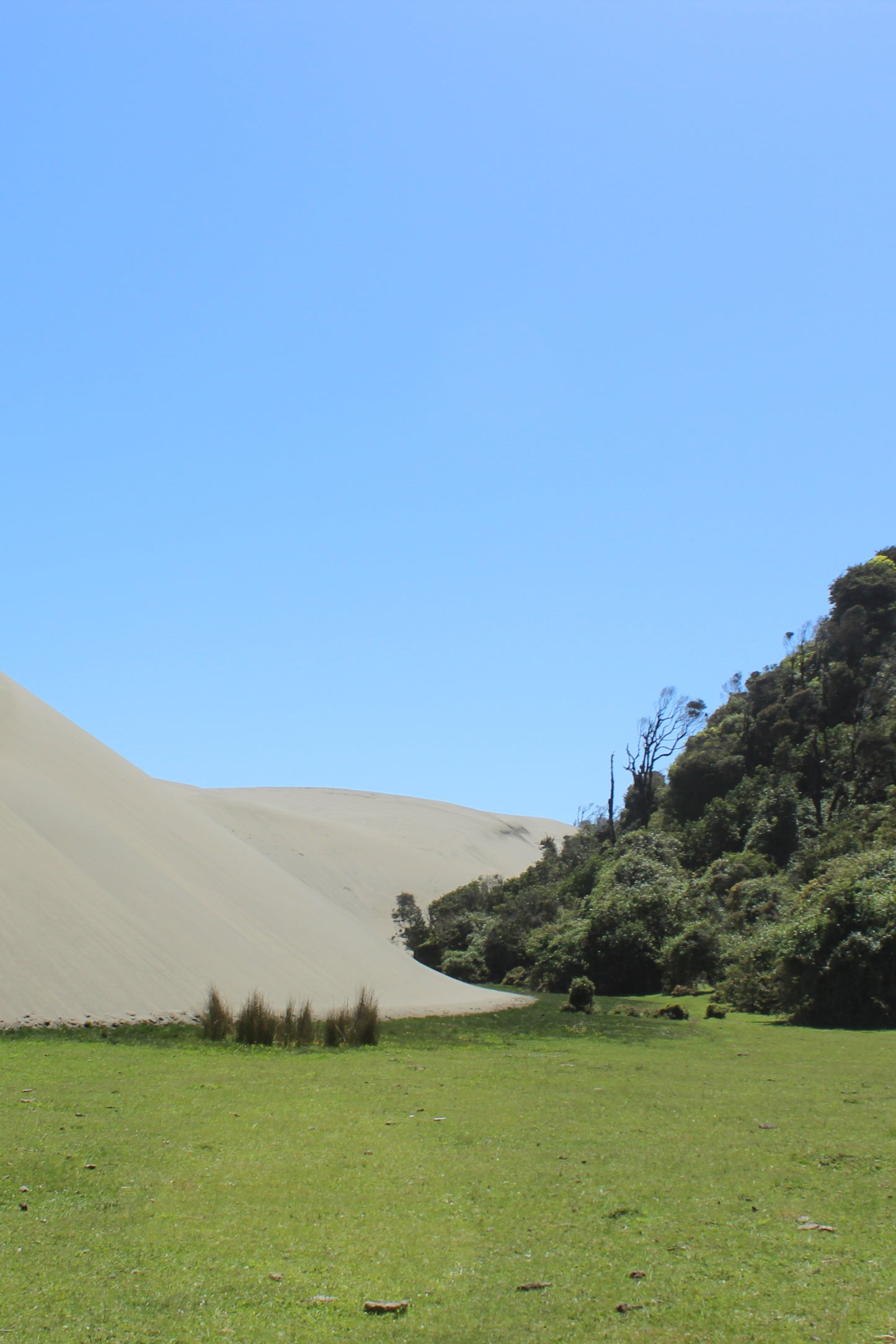 Expedición Río Colun, Chaihuín - Valdivia