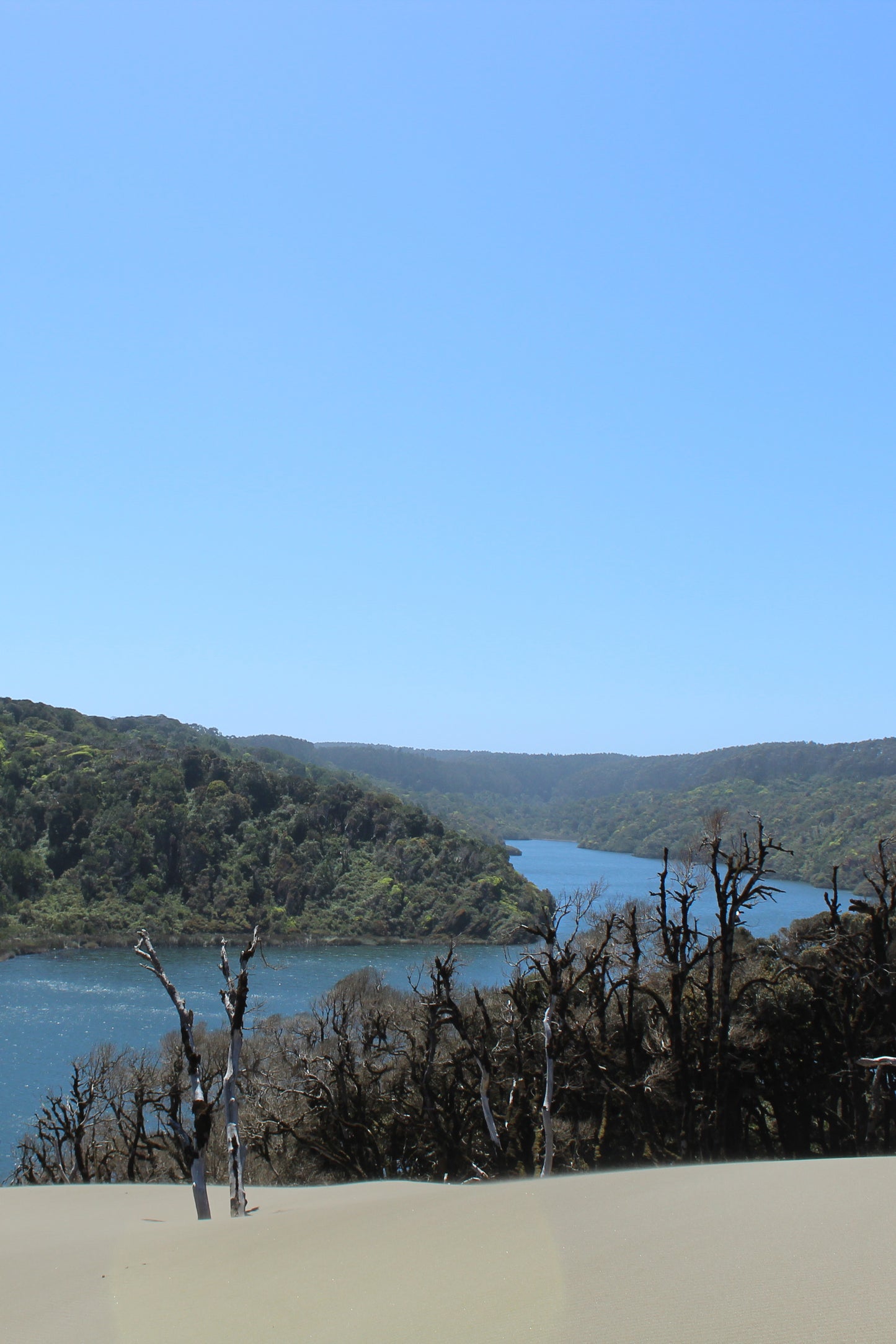 Expedición Río Colun, Chaihuín - Valdivia