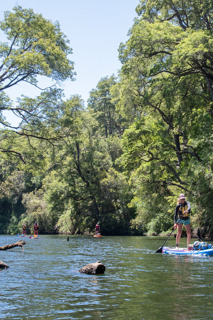 Expedición Río Colun, Chaihuín - Valdivia