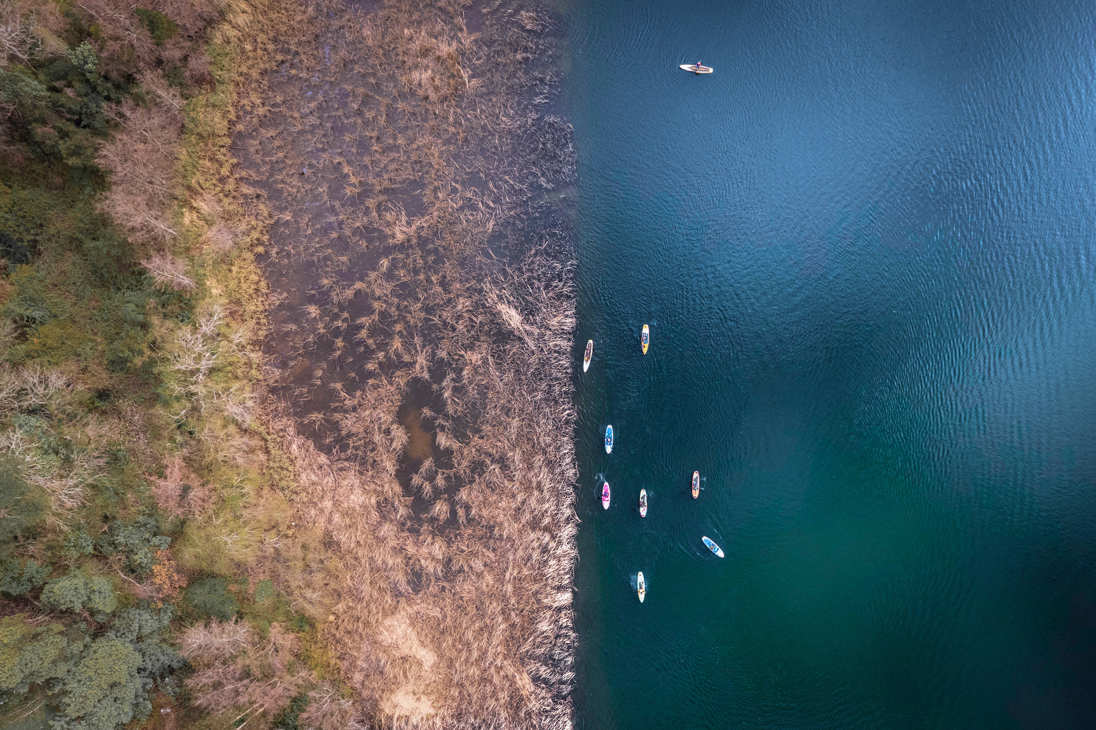 Cargar video: Extracto de lo que fue la realización de la etapa 1 del programa Aula en Río en la comunidad educativa de la Escuela de Punucapa, Valdivia, Región de Los Ríos.